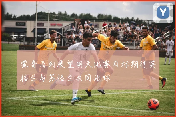 蒙哥马利展望明天比赛目标期待英格兰与苏格兰共同进球