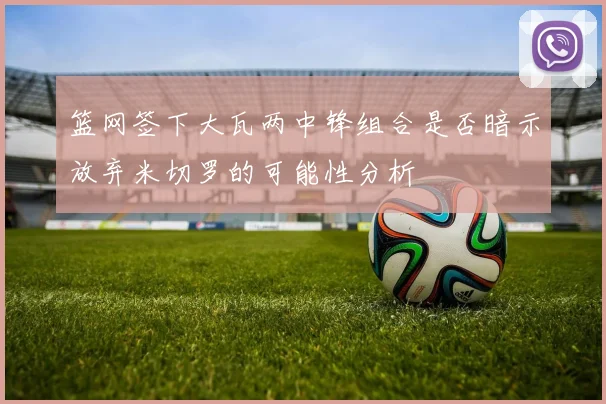 篮网签下大瓦两中锋组合是否暗示放弃米切罗的可能性分析